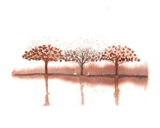 Autumn Reflections