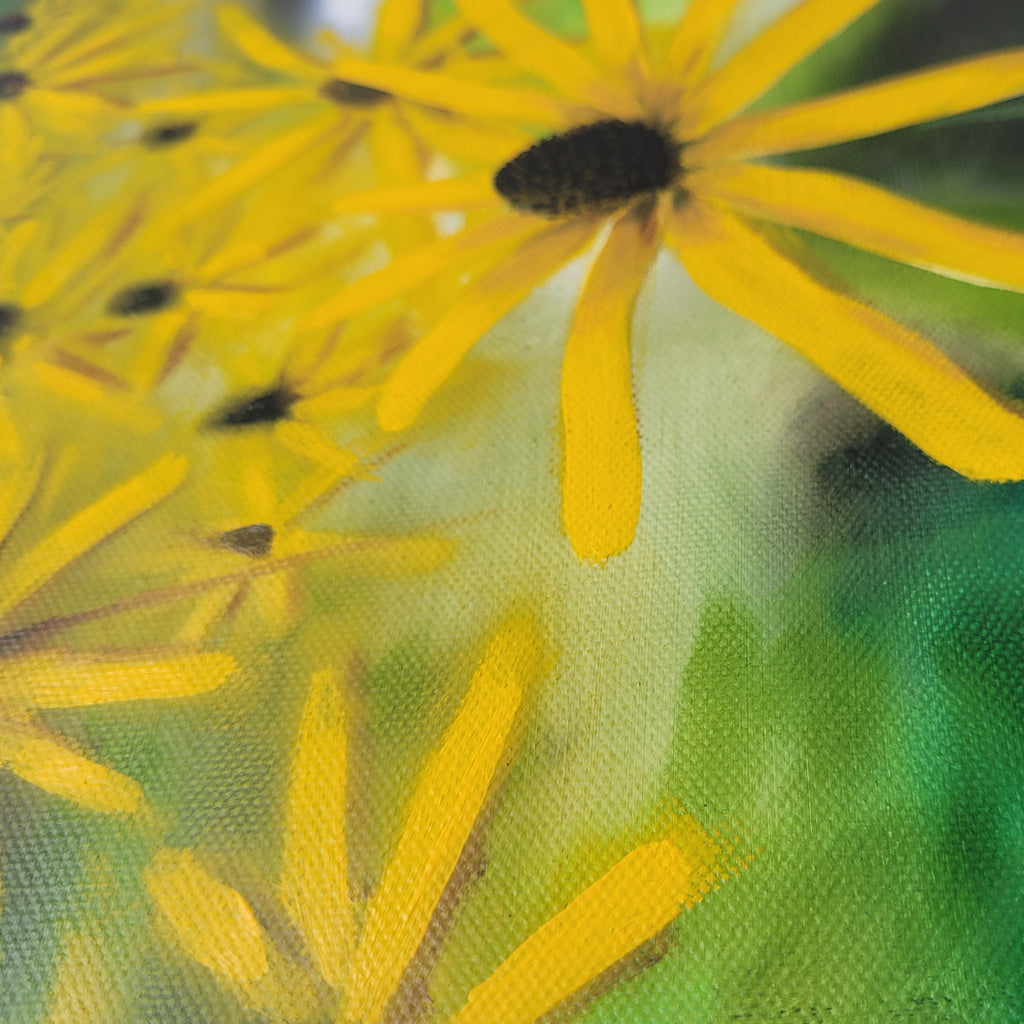 Black-eyed Susans