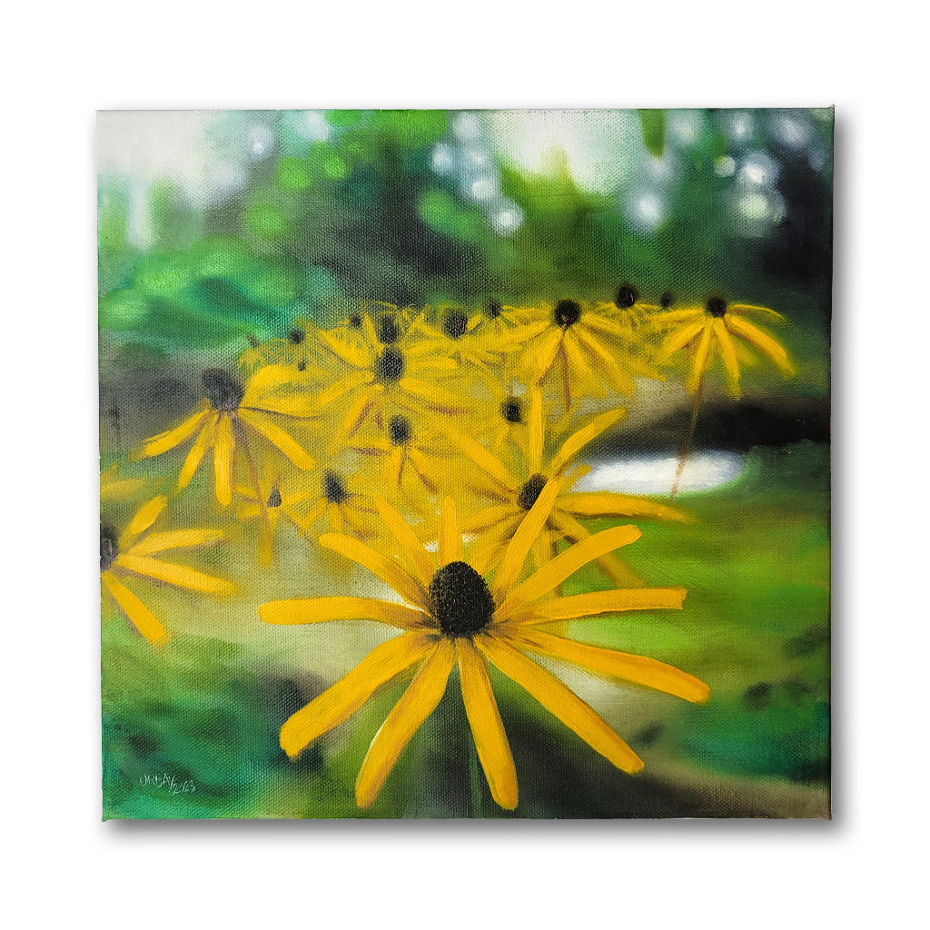 Black-eyed Susans