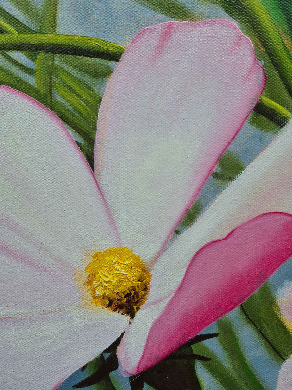 Late SummerCosmos