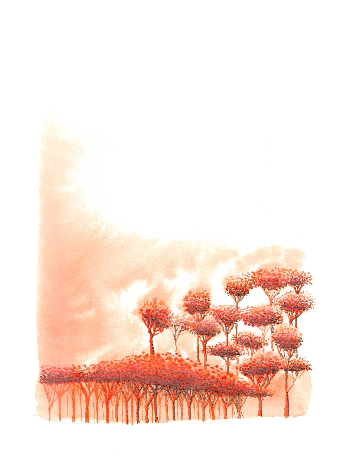 November Trees