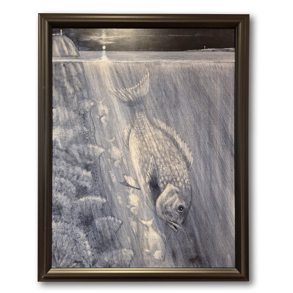 The Moon in Their Eyes (Snapper Run)