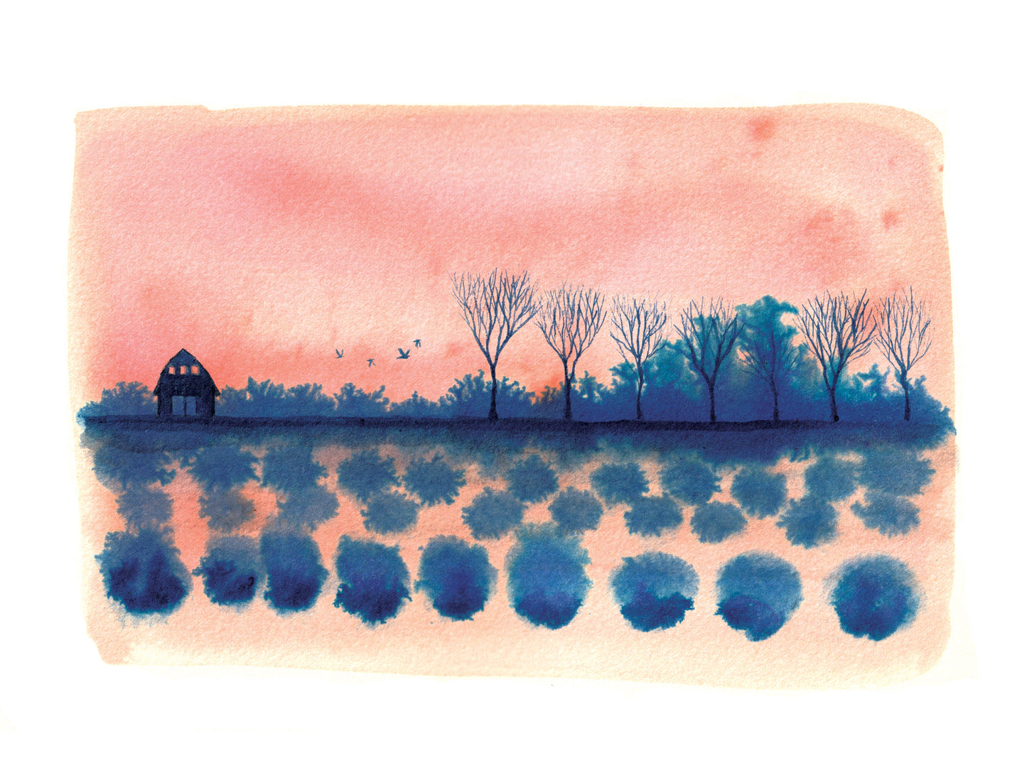 Barn with Doves