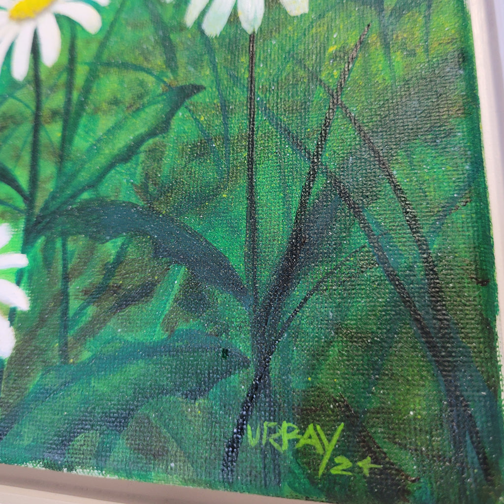 Daisies