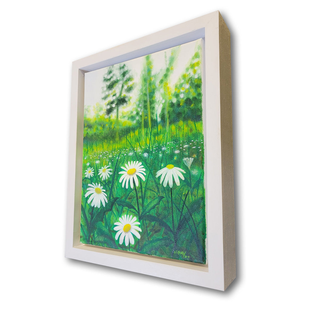 Daisies