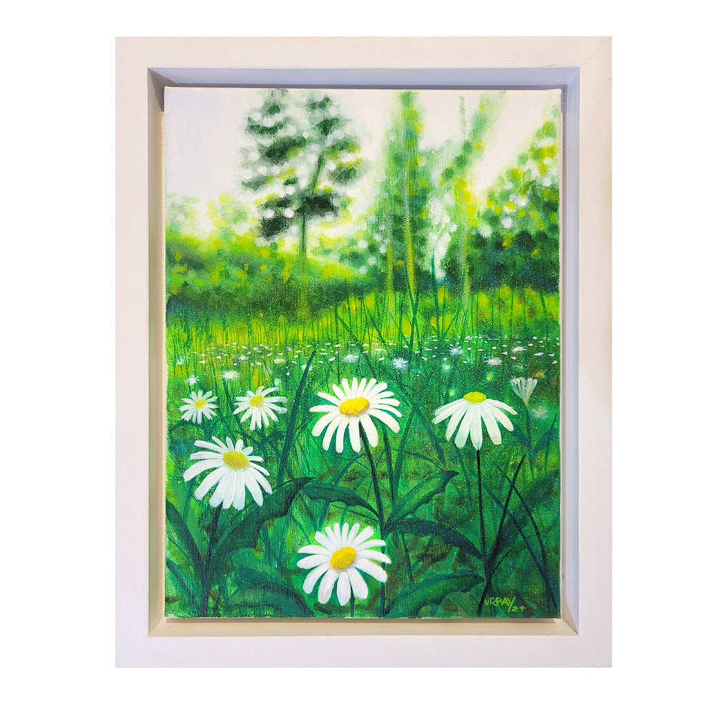 Daisies