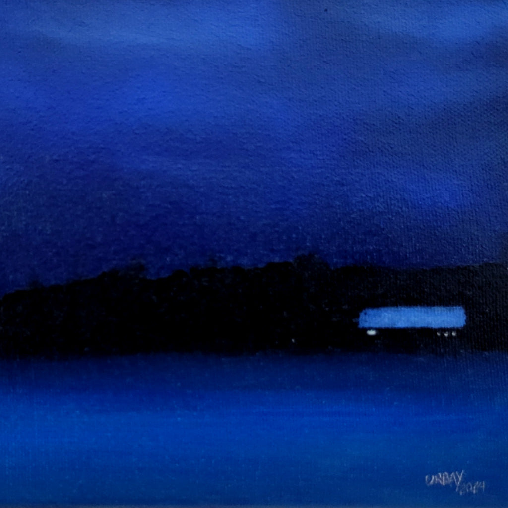 Nocturnal # 1
