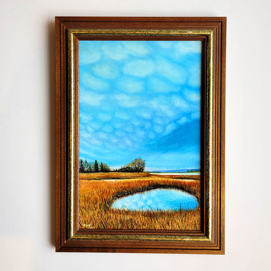 Marshland #1