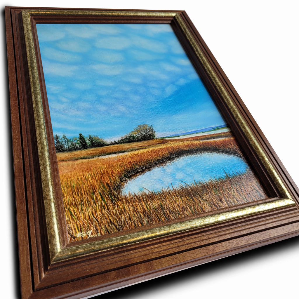 Marshland #1