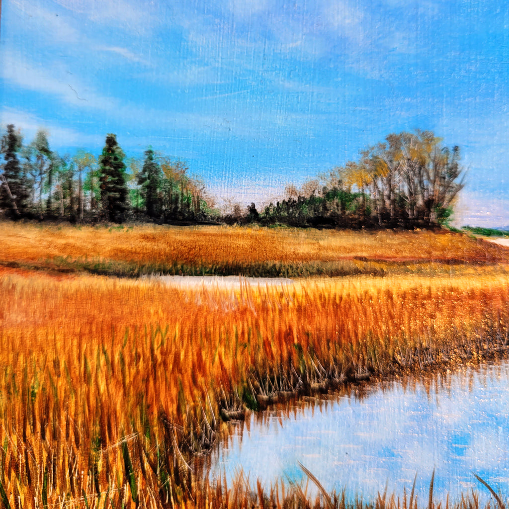Marshland #1