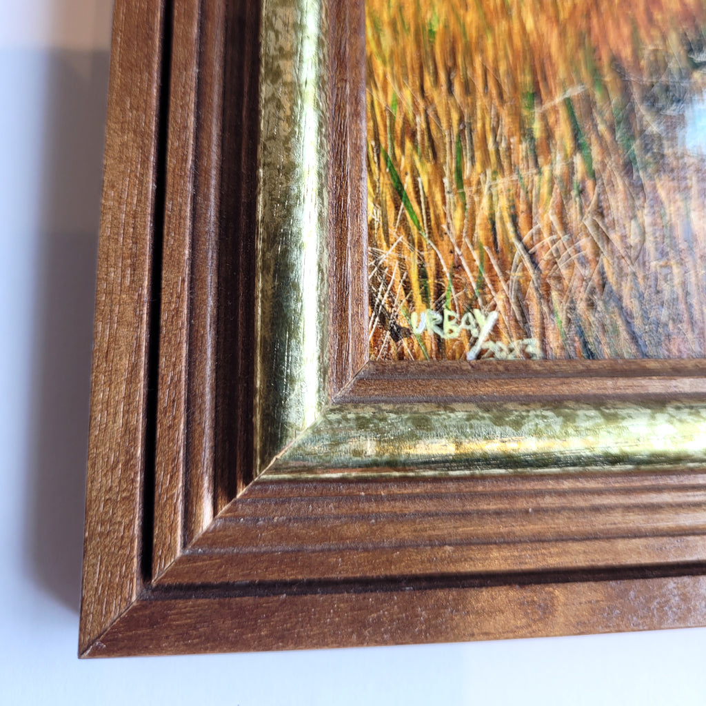 Marshland #1
