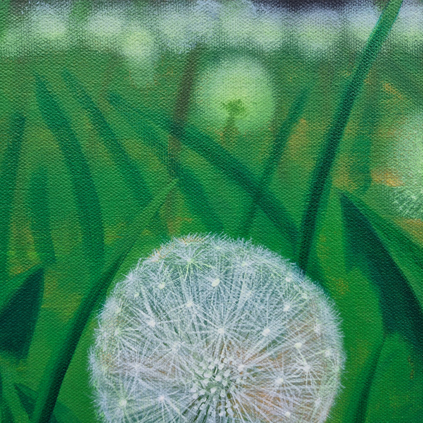 Dandelions Everywhere