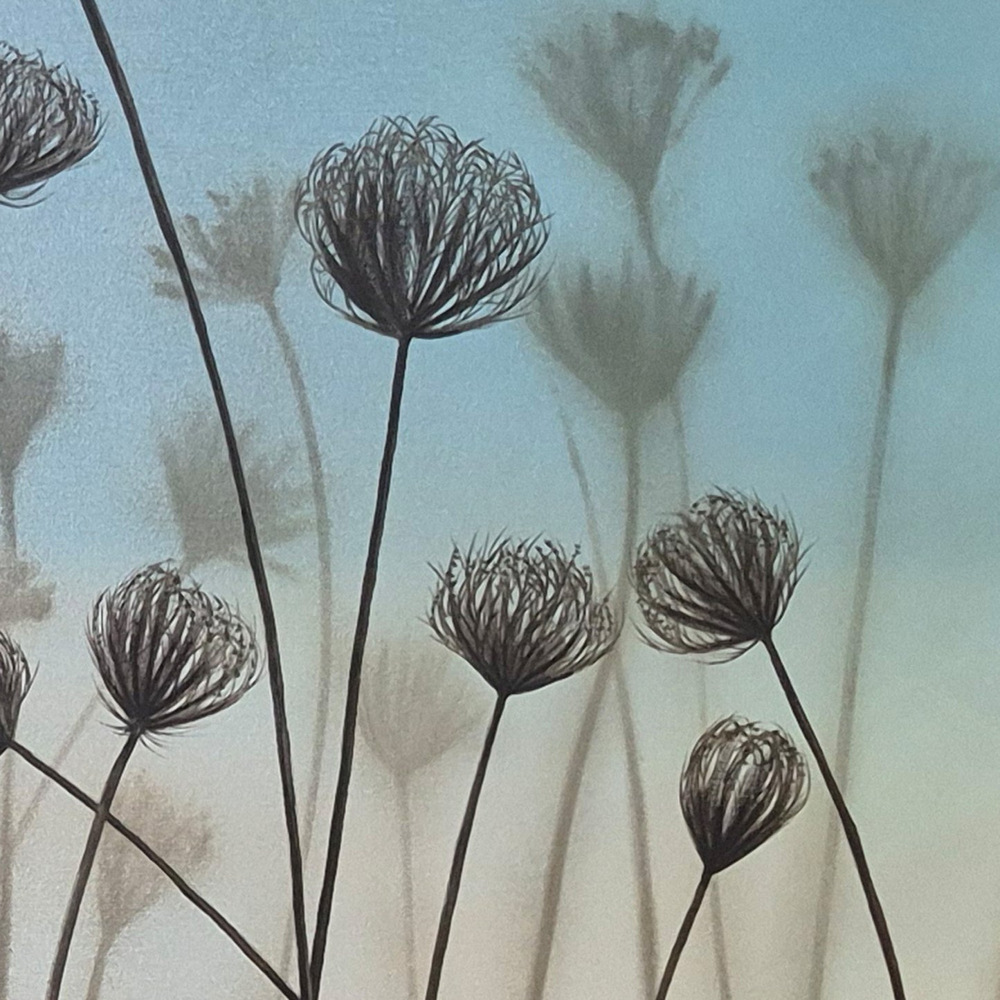 Dry Heads in Harmony