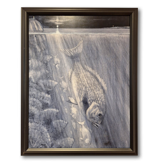 The Moon in Their Eyes (Snapper Run)