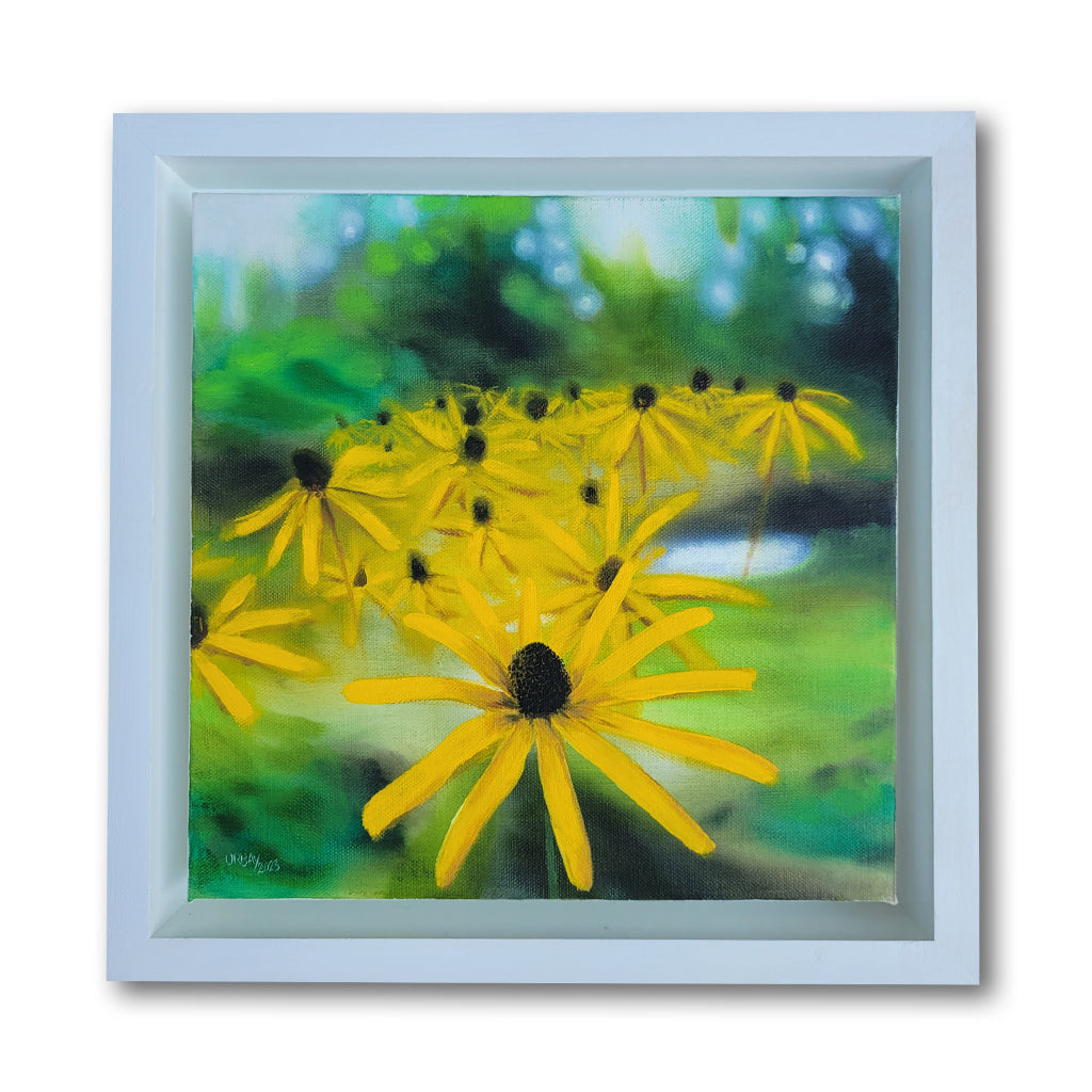 Black-eyed Susans
